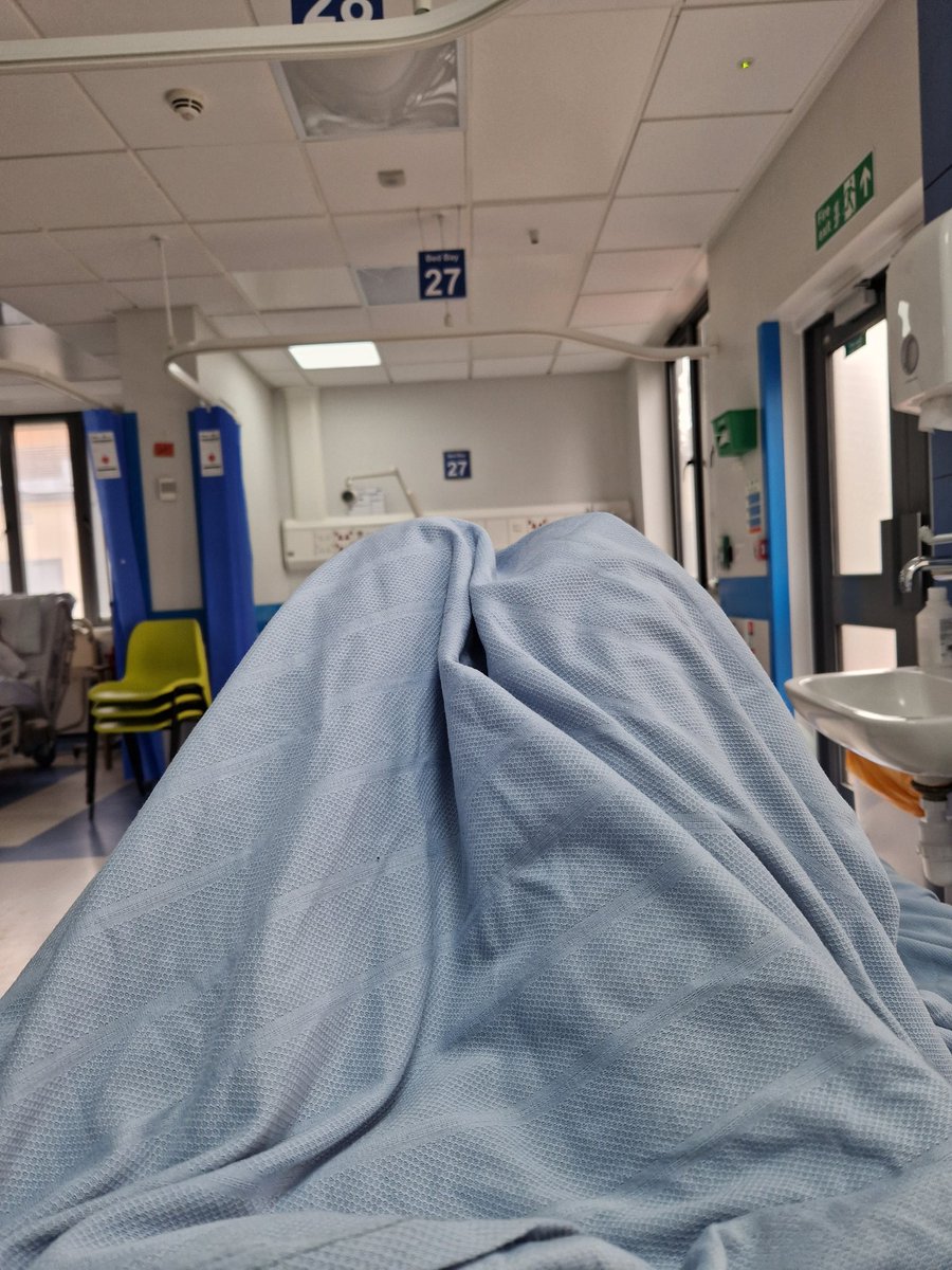 Mandi Moo Conway (She/Her) 🏳️🌈♿️ tweet media