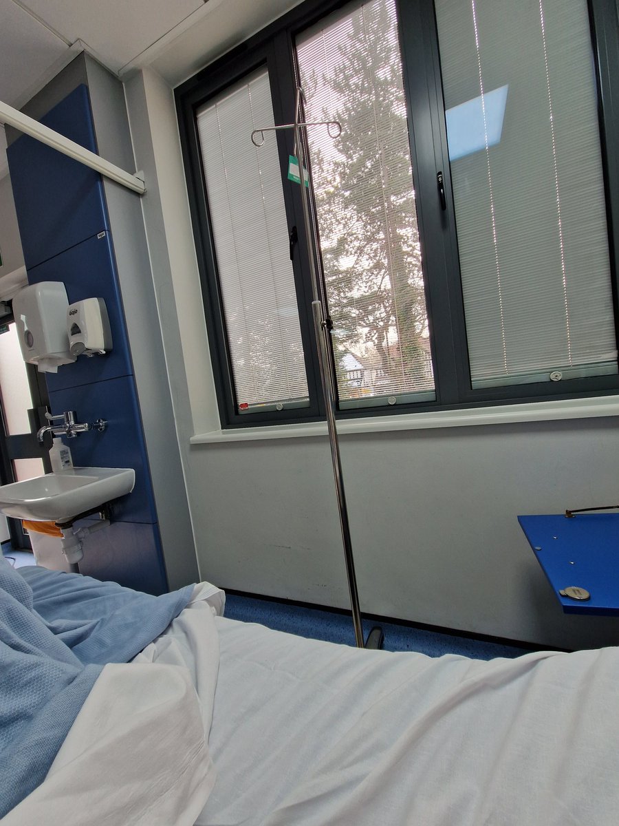 Mandi Moo Conway (She/Her) 🏳️🌈♿️ tweet media