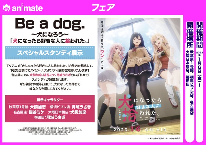 55%OFF!】 犬になったら好きな人に拾われた 全巻 初版 i9tmg.com.br