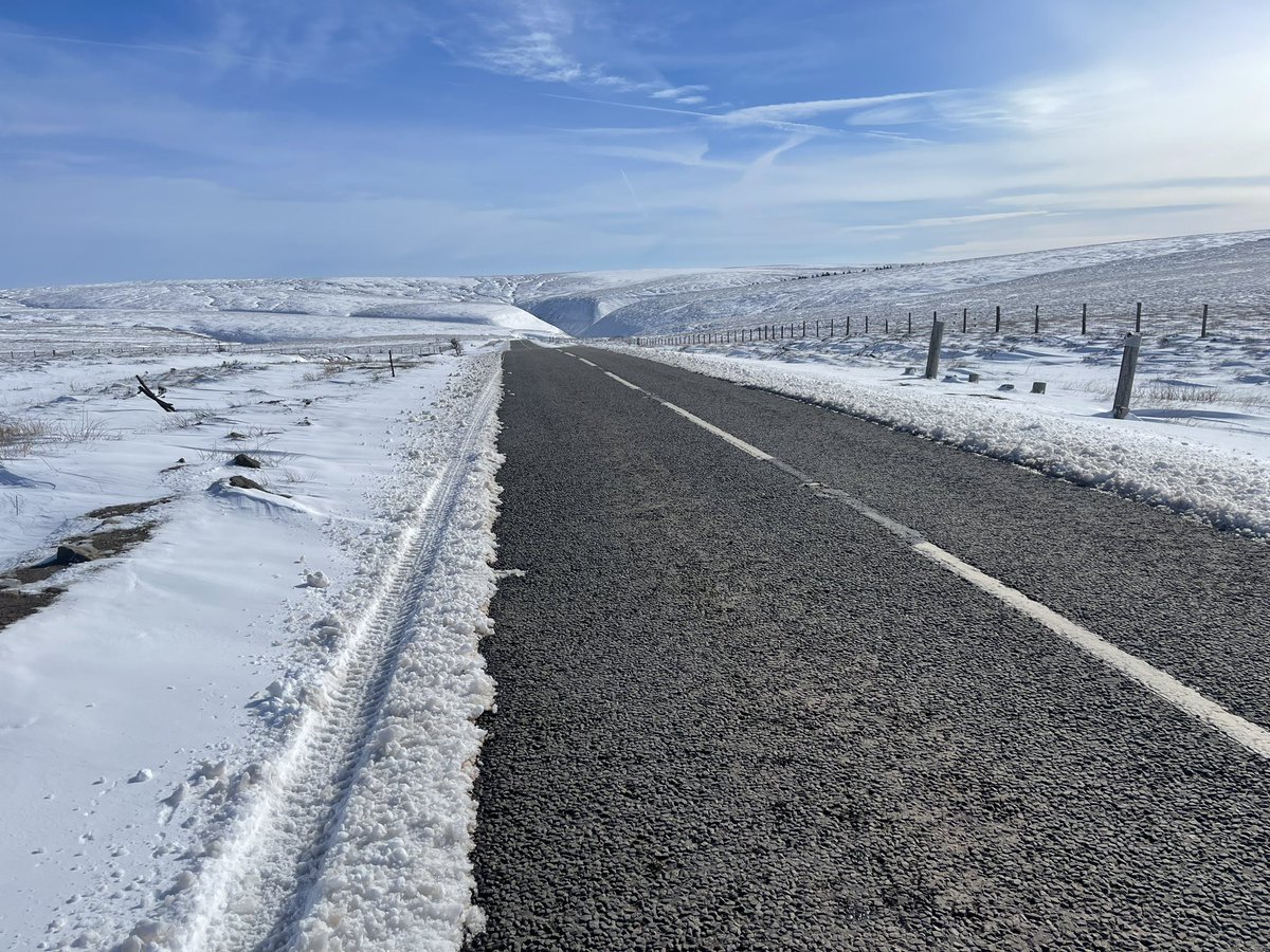 Faction Chamois Cream tweet media