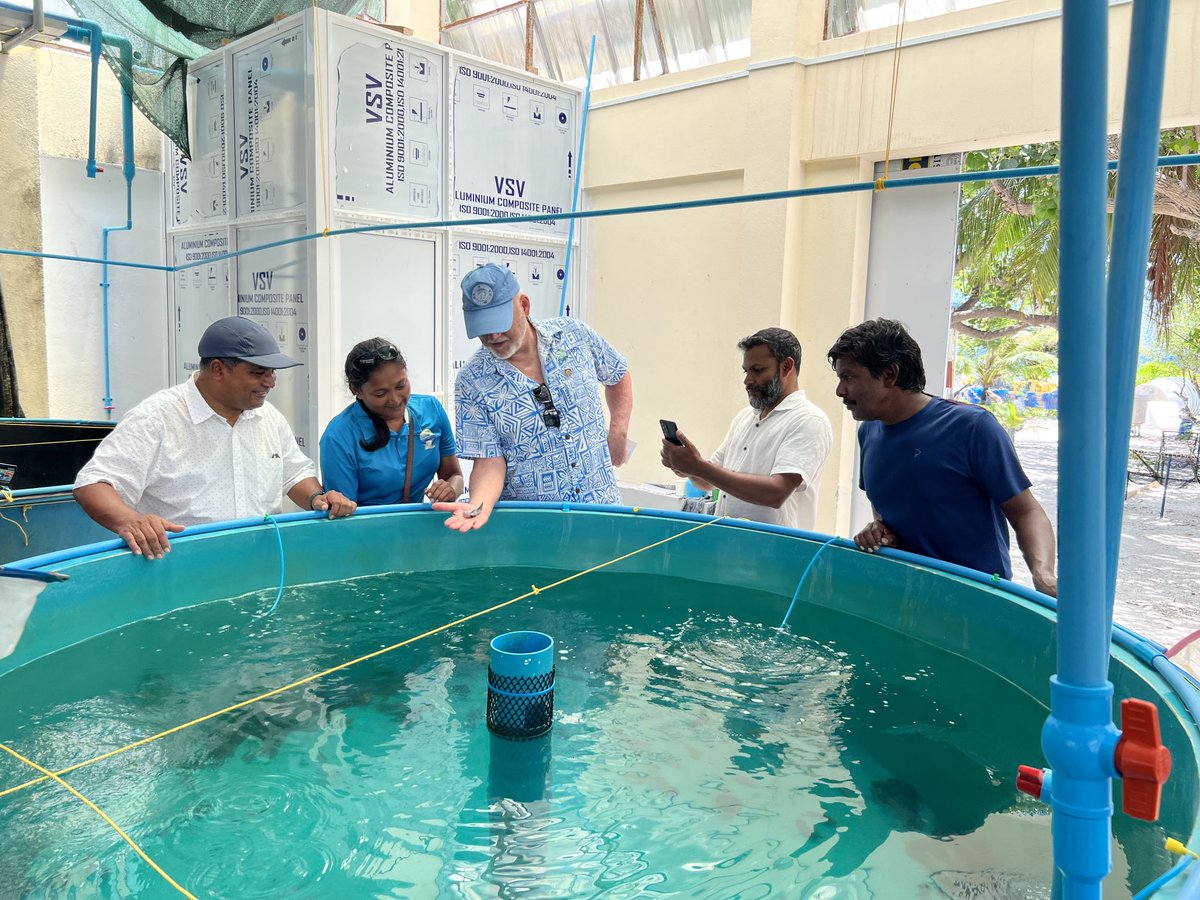 ThomsonFiji's tweet photo. Many thanks to Fisheries Minister Hassan &amp; Director-General Shafia for today’s visit to the Maldives Marine Research Centre. Opportunities for sustainable aquaculture in the Maldives are bounteous. Genuine partners are welcome for scientific research &amp; commercial investment. ⁦ https://t.co/0CD3CZryME