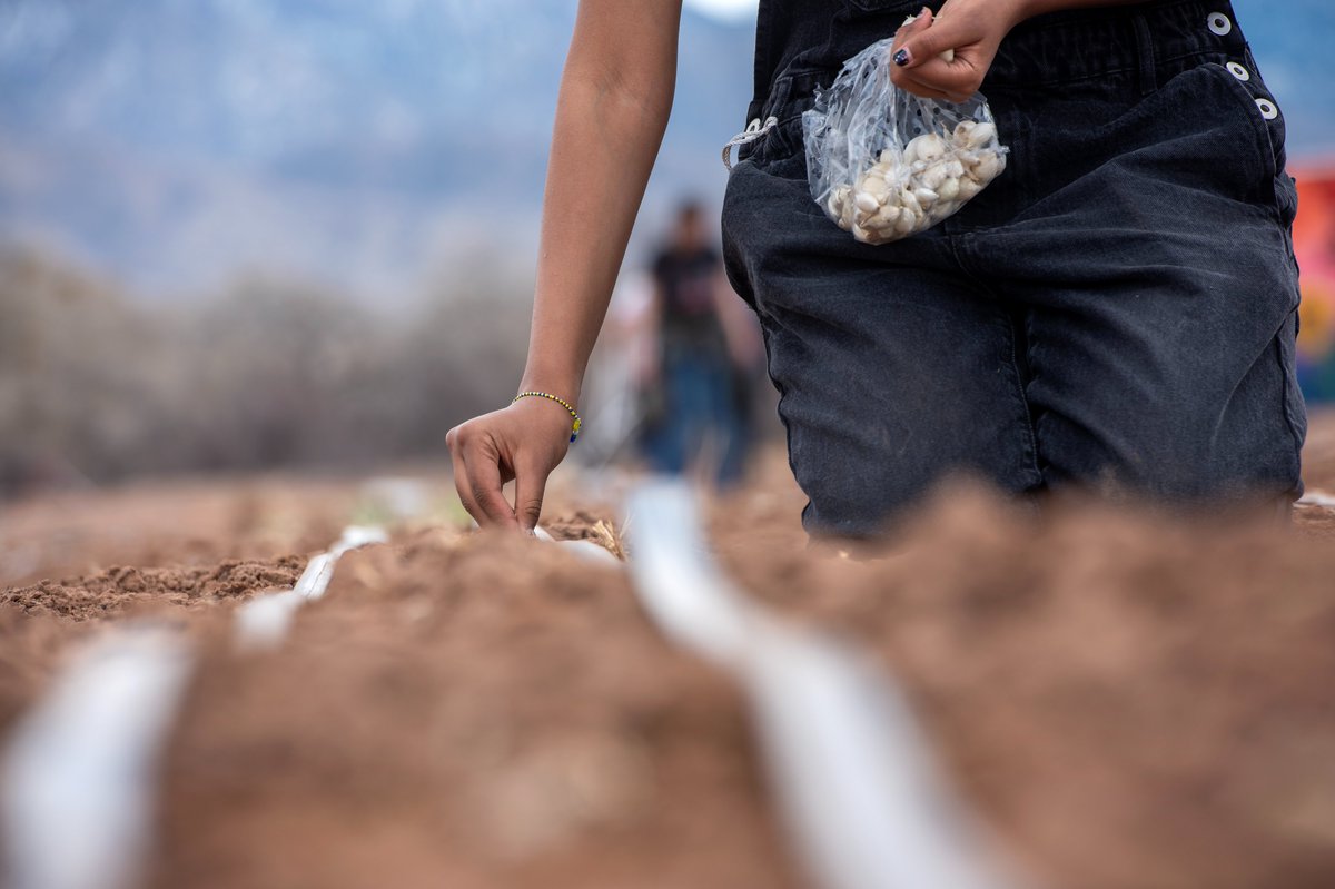 abqjournal.com/2580630/free-s…