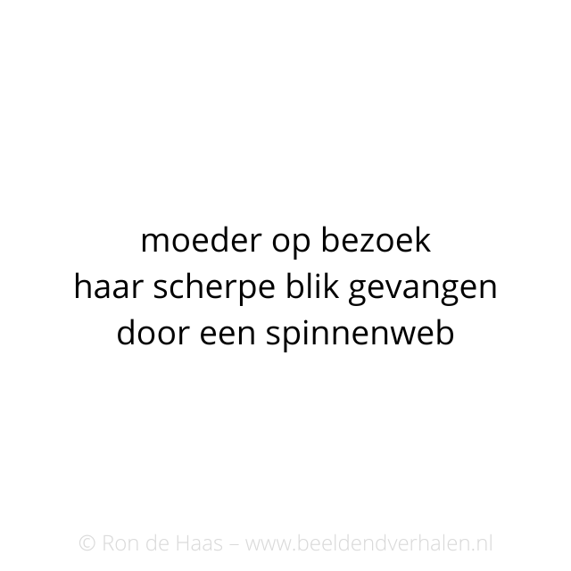 BeeldendVerhal1's tweet photo. #beeldendverhalen #moeder #spinnenweb #haiku #俳句 #ロン #川柳 https://t.co/08gb1YM8Li