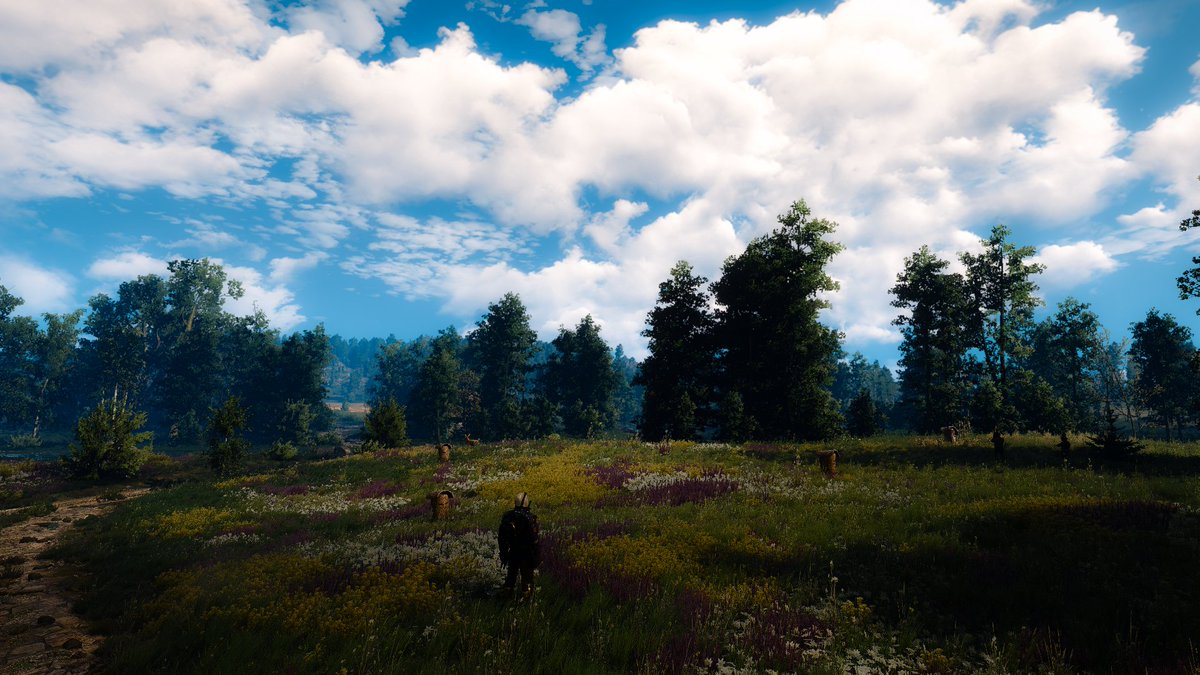 NextSqStudio's tweet photo. #GamerGram #TheCapturedCollective #VGPUnite #VirtualPhotography #ArtisticofSociety #ZarnGaming #PhotoMode #GSVP #VPEclipse #WorldofVP #VPRT #VPGamers
#Witcher3
#witcher3nextgen https://t.co/mrtoeRixv9