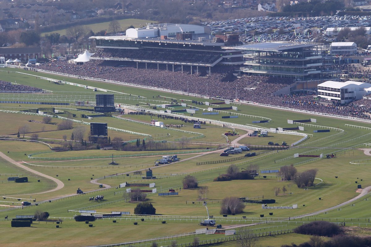 At The Races tweet media