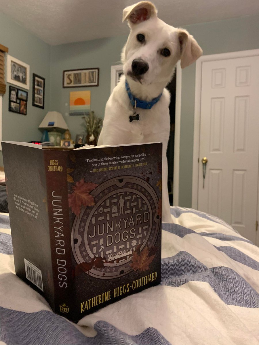 <a href="/MikeBar25891246/">Mike Barker</a> #JunkyardDoggies #JunkyardDogsBook