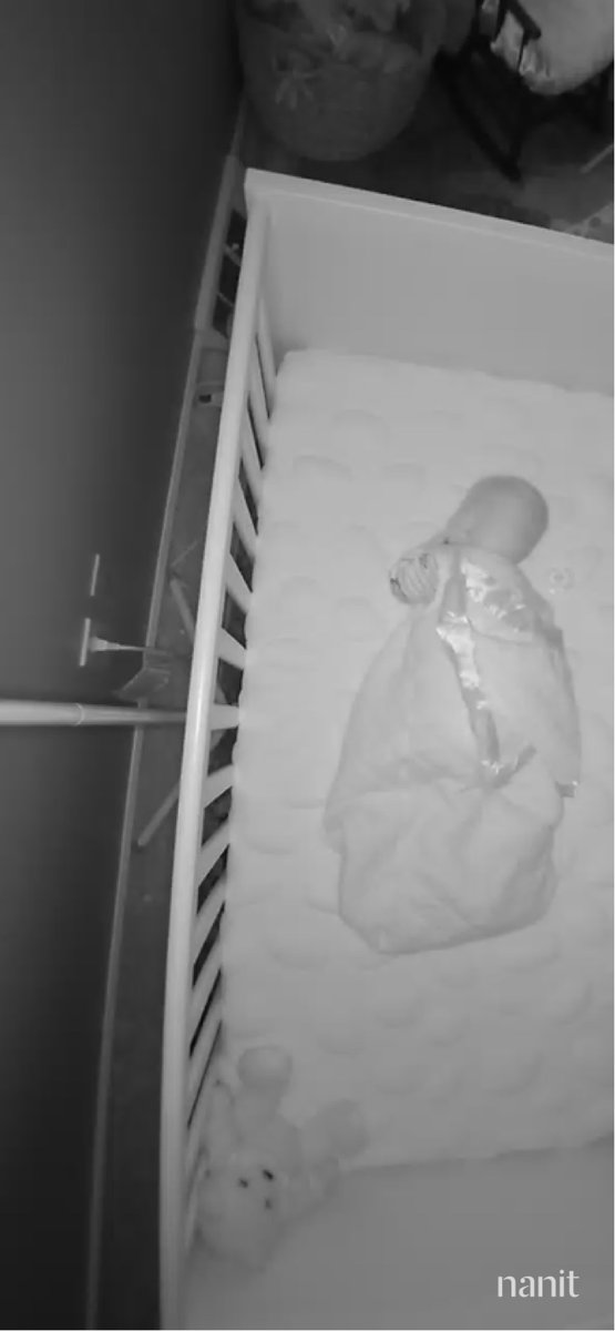 McKenna Young tweet media