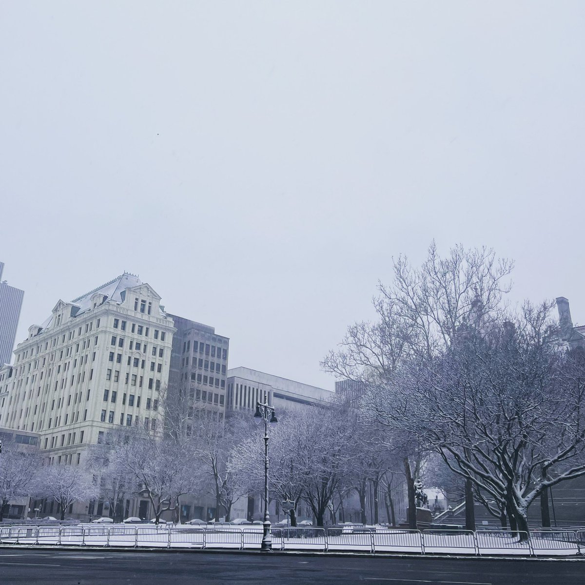 Perfect snowy morning in #DowntownAlbany ! #HappySaturday