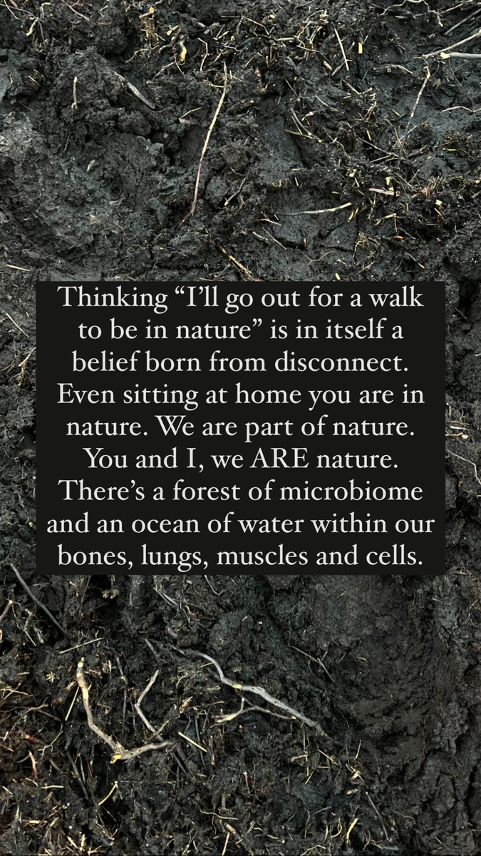 Remembering what we are, what we are a part of 🌱

#natureconnection