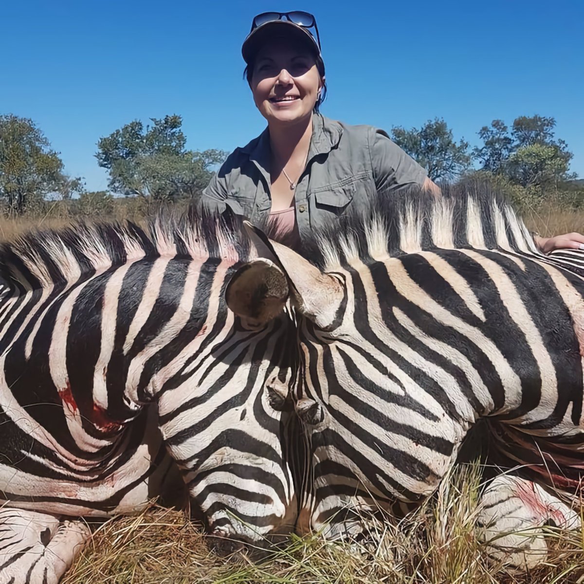 CBTHunting's tweet photo. "Trophy hunting is not only cruel but also wasteful. It's time to ban this senseless practice." - Center for Biological Diversity
@CenterForBioDiv 🚫🦁🐘🦏🦒

💙RT if you agree! #BanTrophyHunting 😡 https://t.co/5hPmdyok0A
