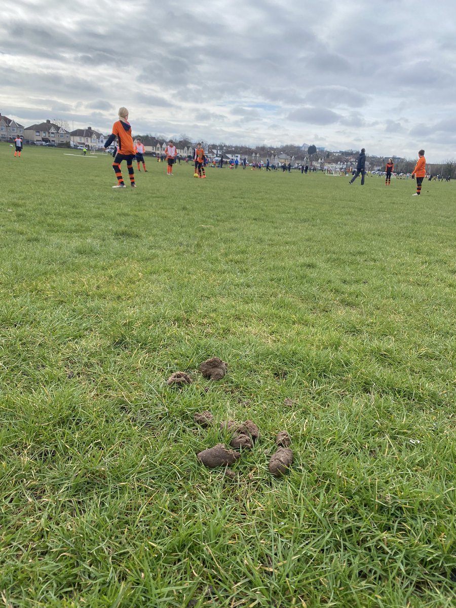 EdHolyoak's tweet photo. @bawabristol visiting team, had to pick up 5 loads of this before my kids played today. Still missed some, the kids didn’t 🤮 https://t.co/5uyqhgW8kK