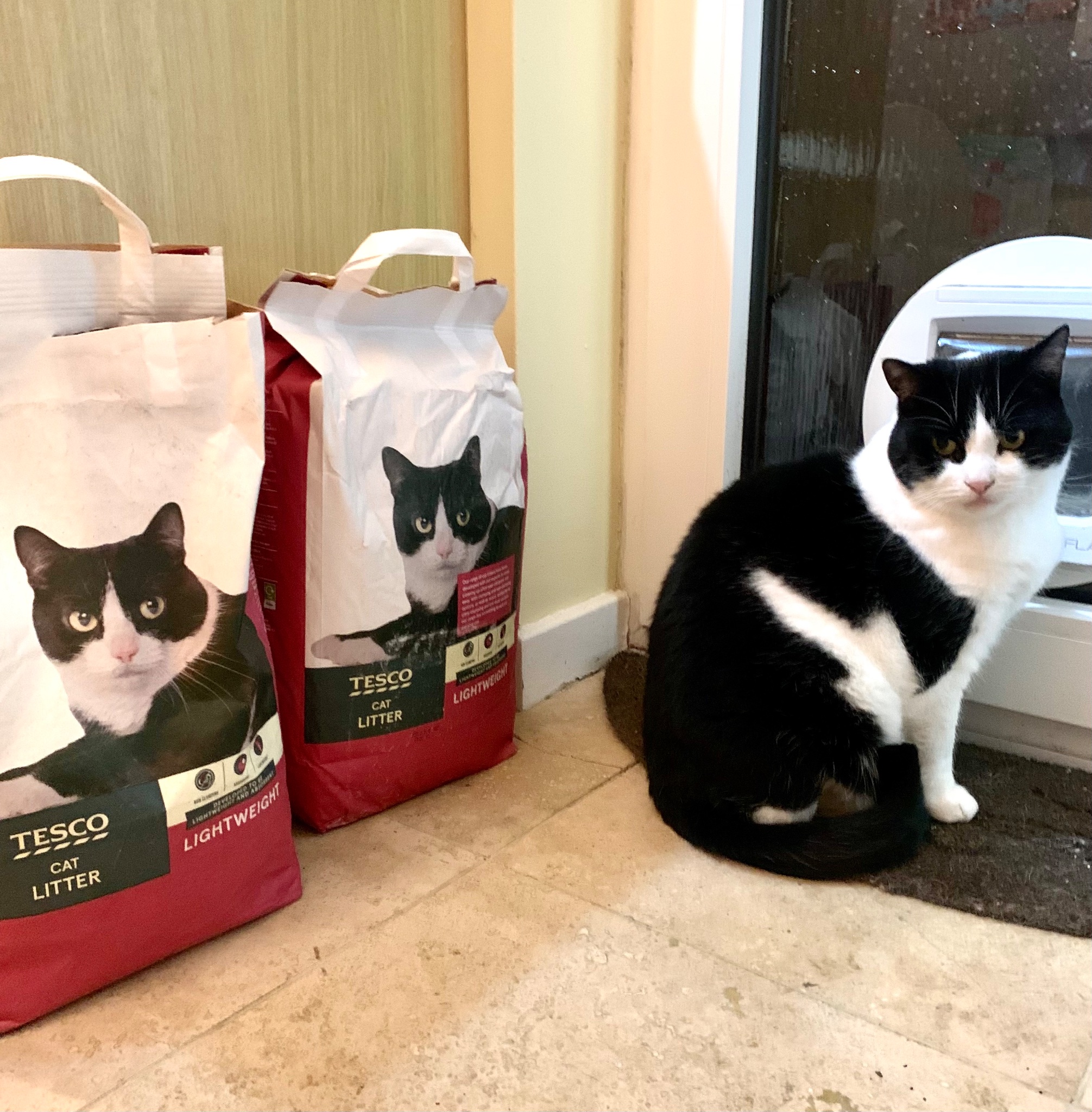 Cat litter tray liners tesco discount