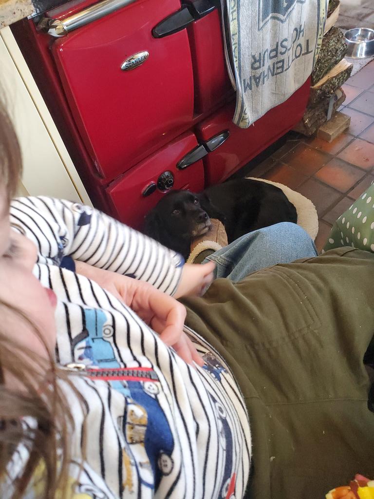 KDownesSport's tweet photo. Prepping for @5liveSport commentary of @THEPLAYERSChamp later with a girl on my knee and a dog chin on my foot. #multitasking #notinFlorida https://t.co/weH9kWbEF7