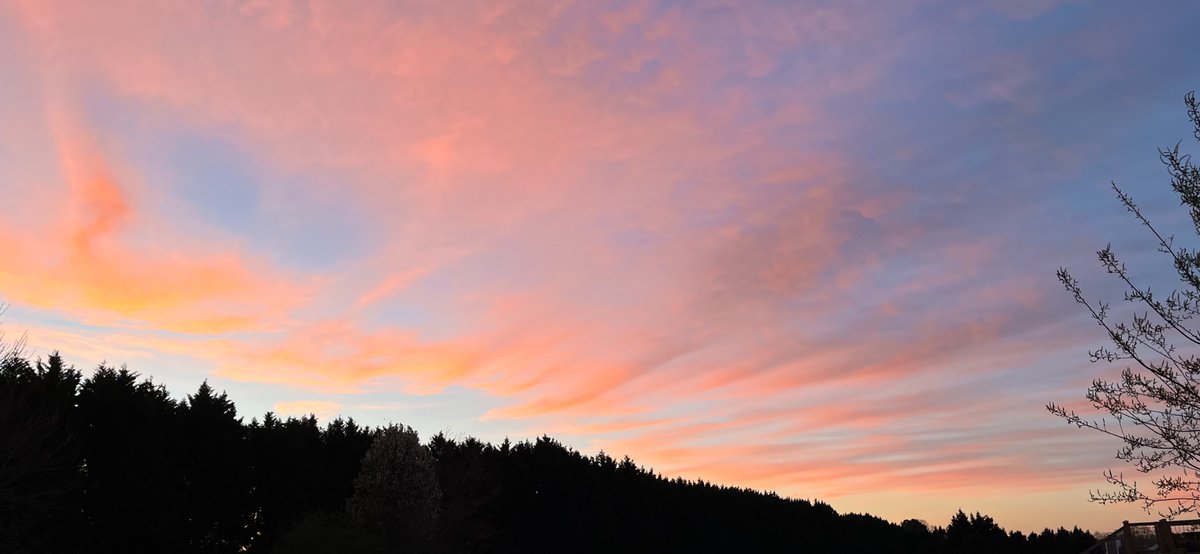 Josh Winstead (@yourblindspot) on Twitter photo 