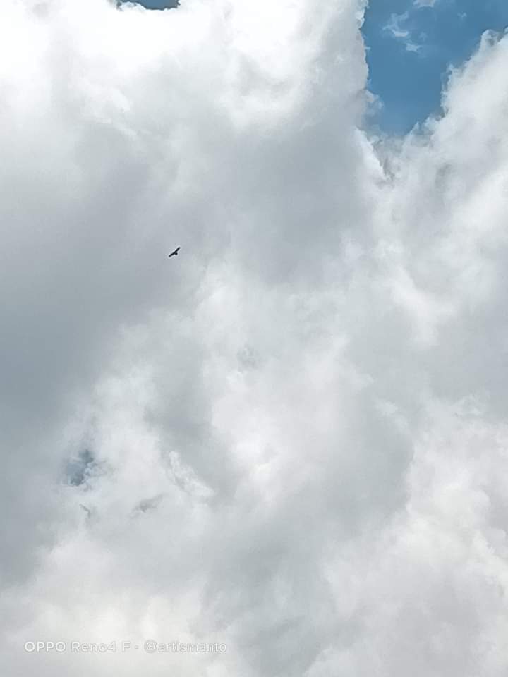 Saniskara manis tanggal 11/3/2023, Eyang Merapi , tampak elang Merapi mengitari sekitaran gunung. 
Semoga baik baik saja.

Info dr FB Ismantoism.
Pengambilan gbr dr dusun Ngampel desa Sengi

#Merapi2023