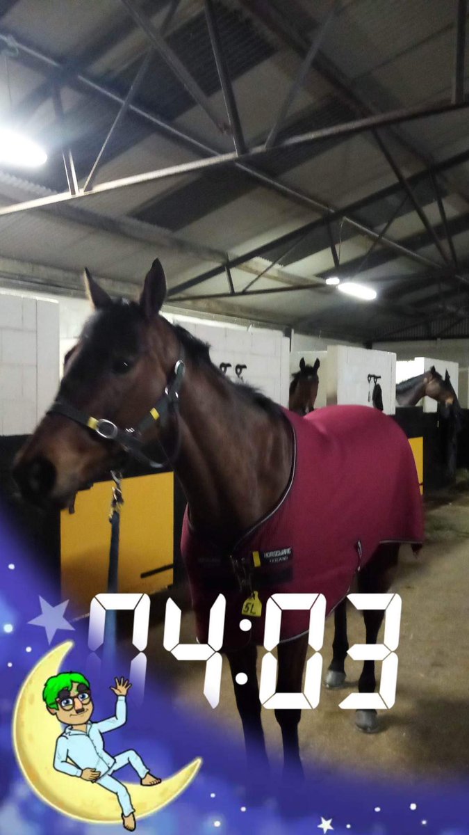 Early start this morning for Shewearsitwell @WillieMullinsNH as she starts her travels to @CheltenhamRaces @ClosuttonRacing