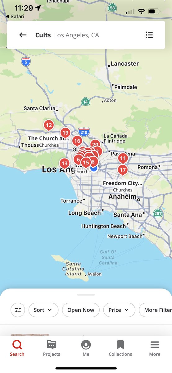 Teresa Lee on Twitter ""best cults near me""