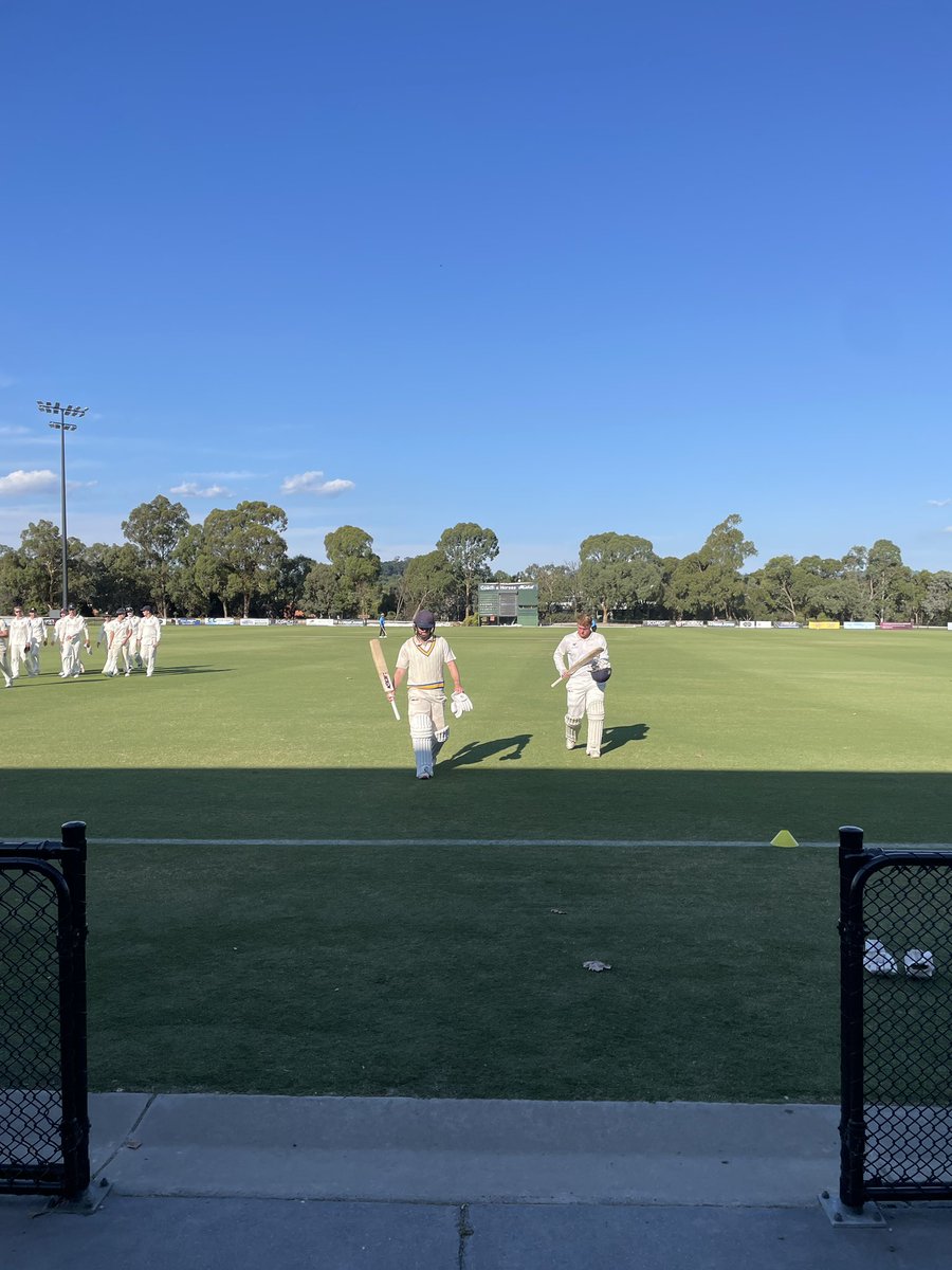 Ringwood CC tweet media