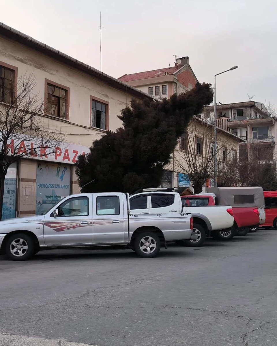 arhavininsesi's tweet photo. Arhavili vatandaşlar, Belediye binasının yanında bulunan ve  geçtiğimiz yıllarda yağan kar sonrası eğilen çam ağacının araçlar ve vatandaşlara  tehlike yarattığı ve görüntü kirliliğine sebebiyet verdiğini yaz gelmeden bir an önce yetkililerce düzeltilmesi gerektiğini söylüyor. https://t.co/UC7jq5yQwe