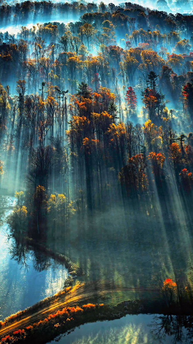 Tina Koskima 🕊️ tweet media