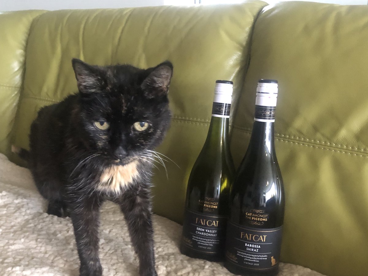 Lois Shuttleworth tweet media