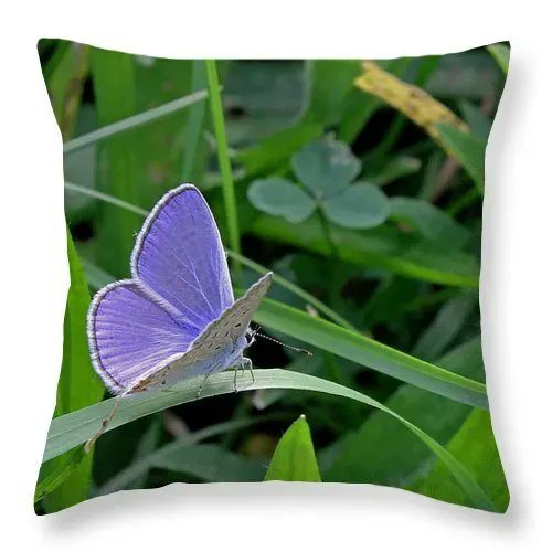 Make a style statement with printed  #butterfly #throwpillows #pillows #interiordesign #homedecor #homedesign #DuvetCovers #style #tonysphotos bit.ly/3ZLKNFi