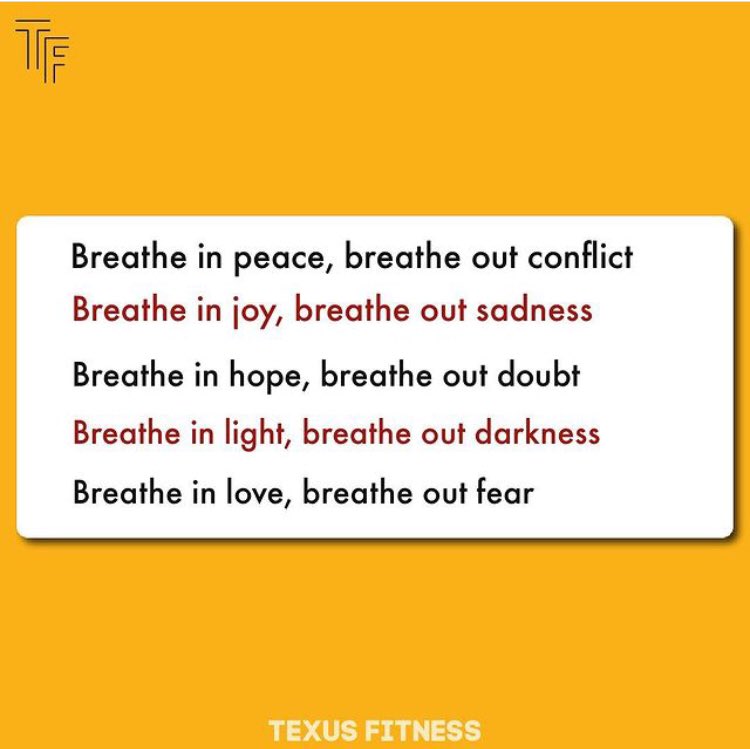 texusfit's tweet photo. https://t.co/MJBbkHn0k9