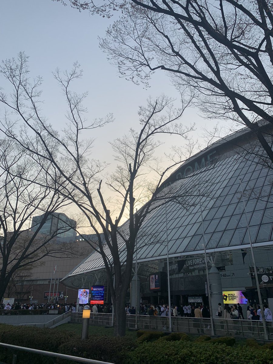 K_T496's tweet photo. #侍ジャパン#カーネクスト
ファイト https://t.co/IcYt6g67yJ
