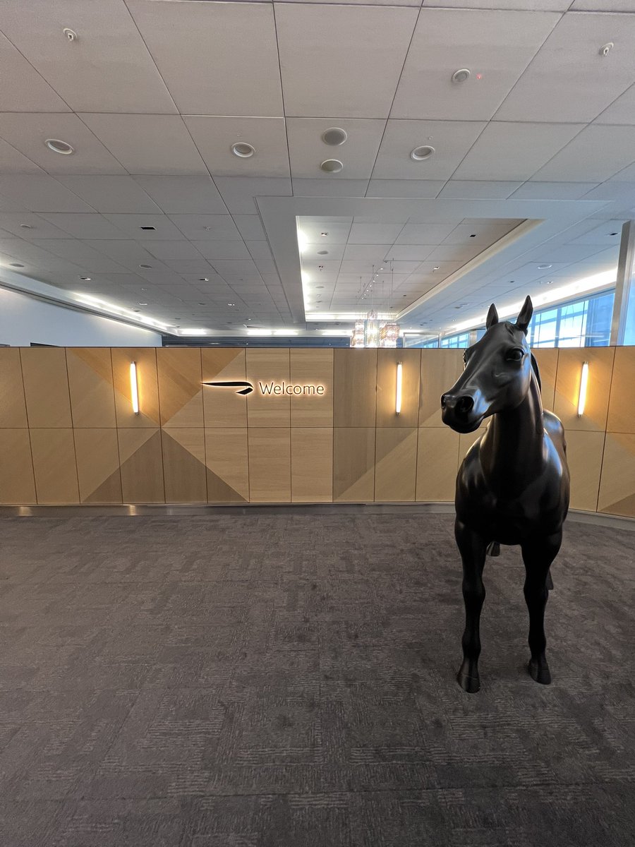 _Travelwithdan's tweet photo. Well hello Mr Horse…. How I’ve missed you #flyingday https://t.co/dnle0XYRrt
