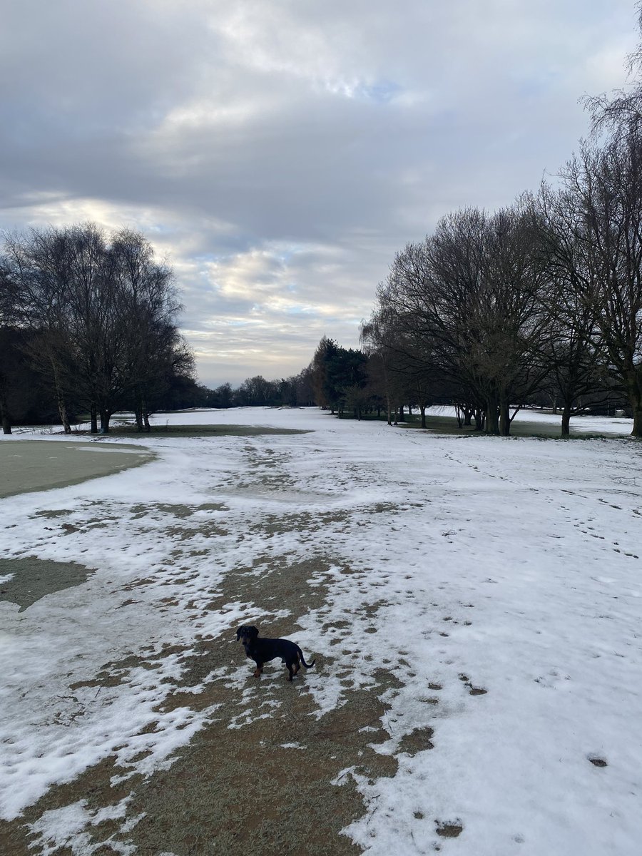 Course will remain closed today.
<a href="/CoptHeathGC/">Copt Heath Golf Club</a>