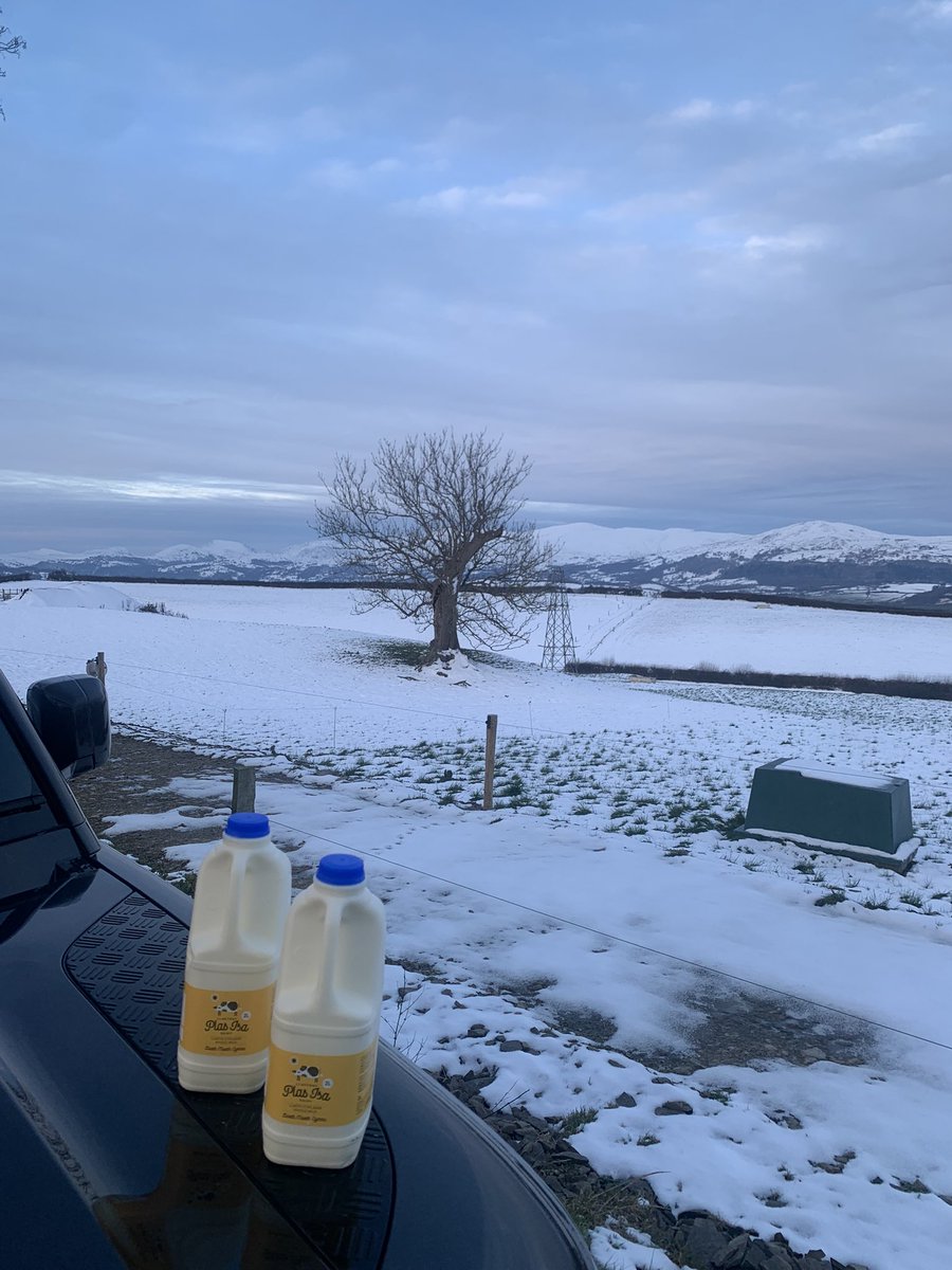 TatwsTrading's tweet image. Bore da good morning all fantastic having @llaethdyplasisa on my doorstep picking fresh stock of milk up on way to work to sell to our amazing customers #llandudno shop is open til 5pm today fully stocked with amazing fresh produce 👌👌👌👌👌
