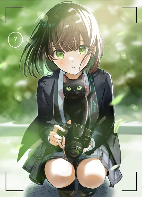 「猫に似ている写真部の先輩」 