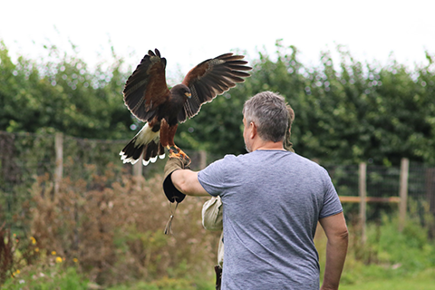 Save 20% on this Falconry Encounter at Millets Farm. With the guidance of an experience Falconer, you’ll get to handle and fly three to five different birds of prey, plus enjoy all-day entry to rest of the centre for just £72 for two.

Find out more at ow.ly/afc050NcW3S