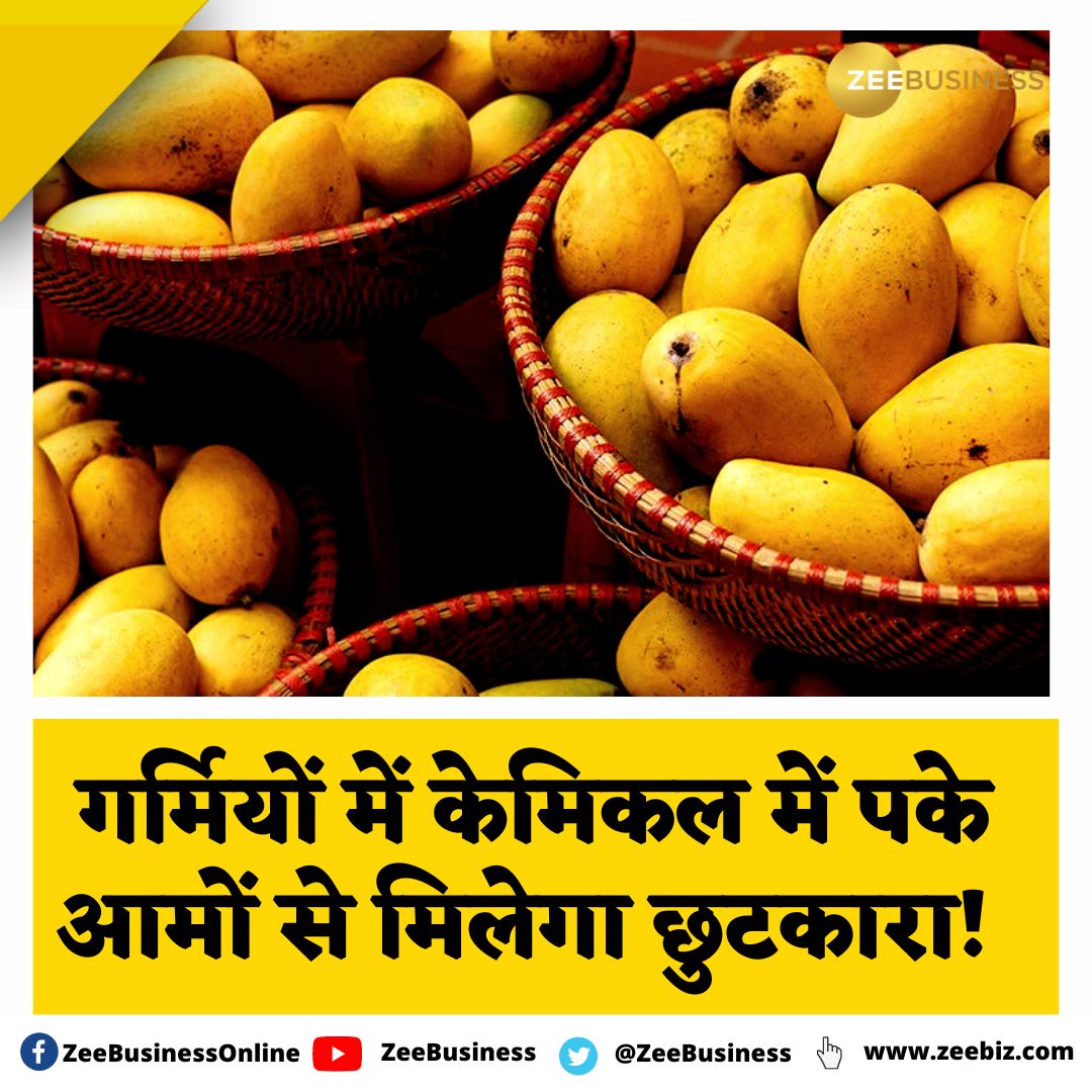 ZeeBusiness's tweet photo. #FSSAI ने पके आमों को लेकर जारी किया नया आदेश
FSSAI ने कैल्शियम कार्बाइड के इस्तेमाल पर प्रतिबंध लगाया और इसकी जगह आम पकाने के लिए #AirTightContainers या पराली का प्रयोग करने की सलाह दी है
#Mangoes #Chemical https://t.co/m4w2WzrU2V