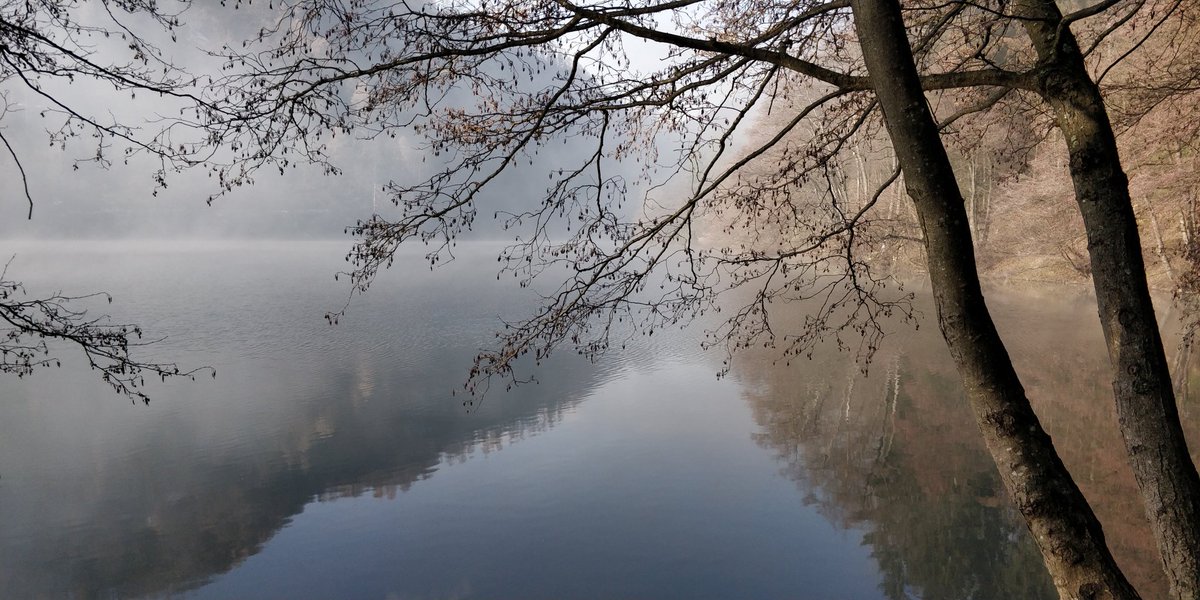 X Surfer {A}{Z} tweet media