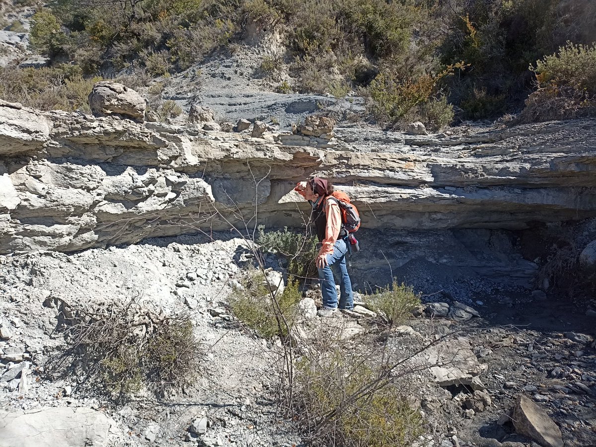 paleostrat's tweet photo. Leticia Rodriguez-Blanco Irusta, a PhD student from @UniOslo (supervised by @IngridAnell) and @sedi_mental, have been scouting for clinoform examples in the Roda and Sobrarbe deltaic systems as part of her research stay in @UABBarcelona https://t.co/c4fmYVg2a5