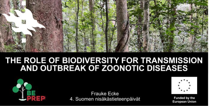 The role of biodiversity in disease outbreaks🦠. Biodiversity is imortant! In many cases it’s rarely appreciated species that have an important mitigating role to prevent pathogen transmission. Presenting our latest findings and plans at the Finnish Mammalogical days. #zoonoses