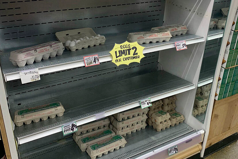 apanalis's tweet photo. ⚠️La escasez de huevos provoca ya el primer racionamiento en un supermercado 🇪🇸español
@elmundoes 
Así irá pasando con todo.
⚠️🇬🇧The shortage of eggs already causes the first rationing in a 🇪🇸Spanish supermarket
#MultifactorialCollapse on track https://t.co/WDC9XtIYvJ