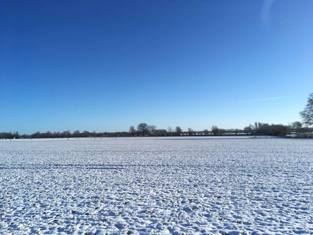 Peter30775782's tweet photo. Probably half of social media using The Netherlands is sharing images like this, but this is how my morning dog walk looked like #white #sun #snow #achterhoek https://t.co/02SkbzRgZ0