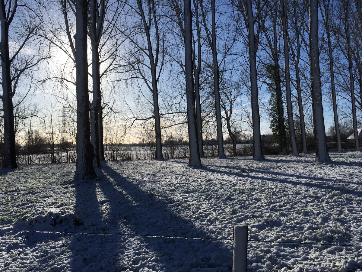 Peter30775782's tweet photo. Probably half of social media using The Netherlands is sharing images like this, but this is how my morning dog walk looked like #white #sun #snow #achterhoek https://t.co/02SkbzRgZ0