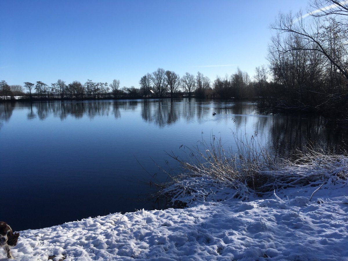 Peter30775782's tweet photo. Probably half of social media using The Netherlands is sharing images like this, but this is how my morning dog walk looked like #white #sun #snow #achterhoek https://t.co/02SkbzRgZ0