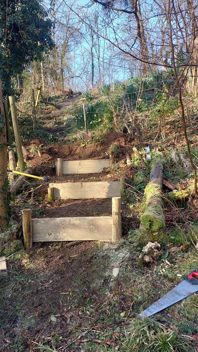 Early start in the woods making steps, it is absolutely lovely here this morning