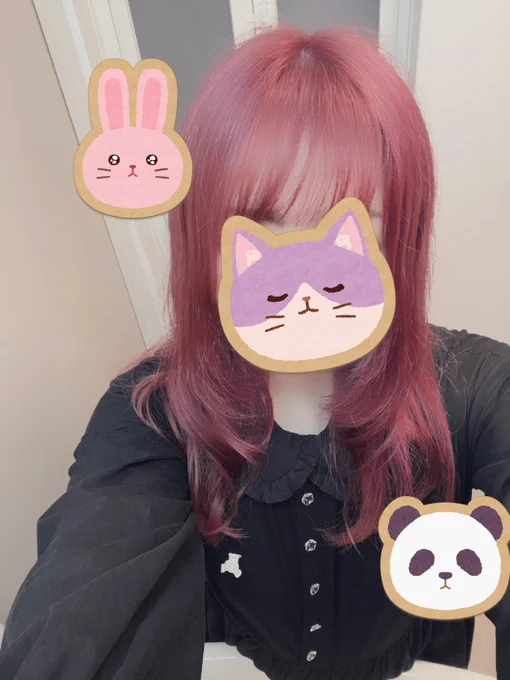 髪染めた!!マキマさんみたいな色でお気に入り 