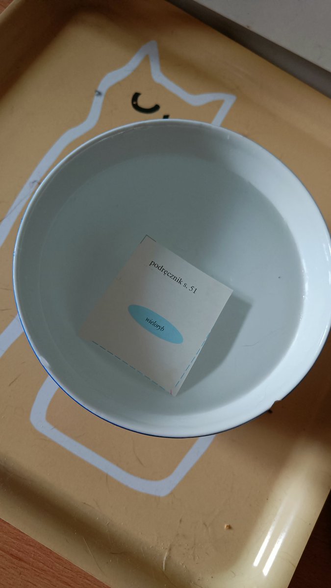 WaRybka's tweet photo. Kocour rád namáčí papírky. Kocour dobře ví, že velryba patří do vody. https://t.co/O8nWTMdtSR