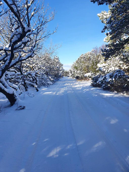 The walk to work is gorgeous today 