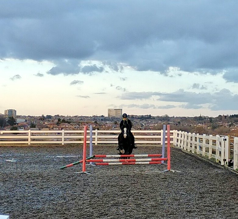 KjbPony's tweet photo. First riding lesson in over a year and a half for the boys. The ponio did not play ball and pretended to be scared of the puddles ππ€¦πΌββοΈ But the boy did well not be frustrated or upset with himself or the pony π΄π₯° #ponyhour #ridinglesson #searchingforourhearthorse https://t.co/3D5znFq9mA