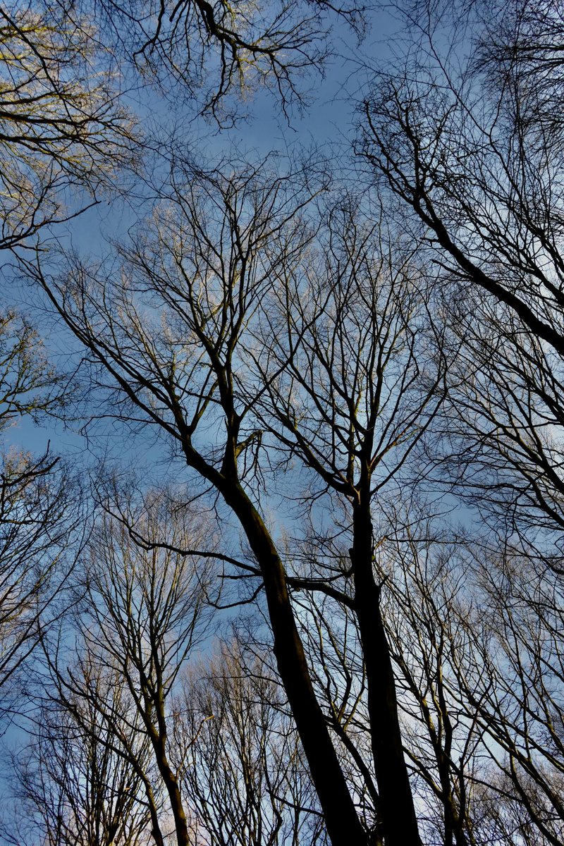 Horizonsun11's tweet photo. Habt ein schön Tag 

🏞 #landscape #amazing #view #trip #tree #sky #mountains #nature #landscape_lovers #landscapelovers #landscapelover #landscapehunter #landscapes #toptags #landscapestyles #trees #nature_shooters #nature_prefection #naturediversity #naturephotography #foryou https://t.co/E0LKfIU90m