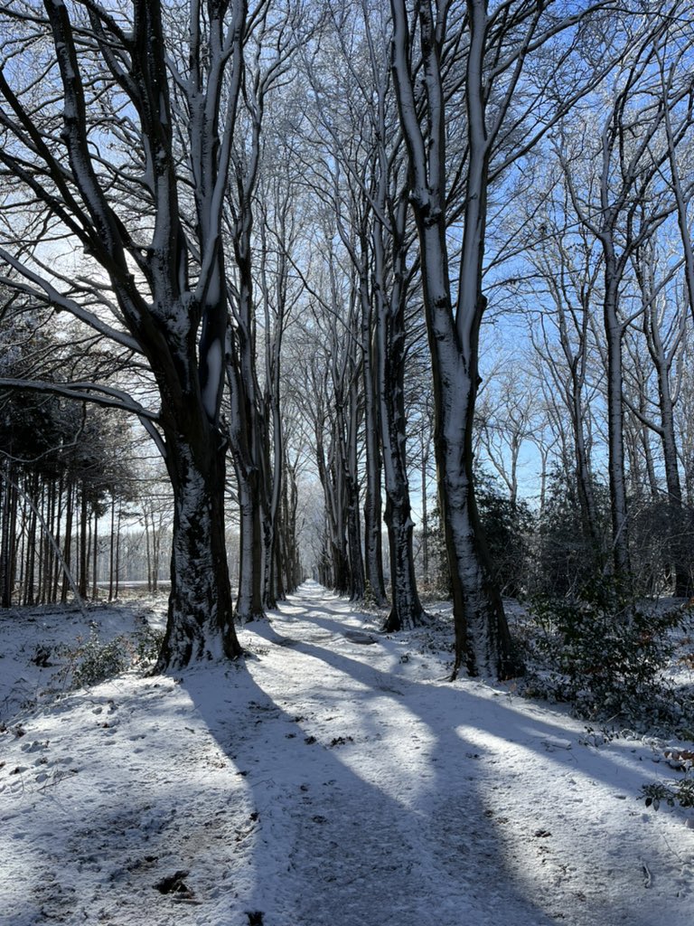 Mooi winterweer in Oldeberkoop#Oldeberkoop