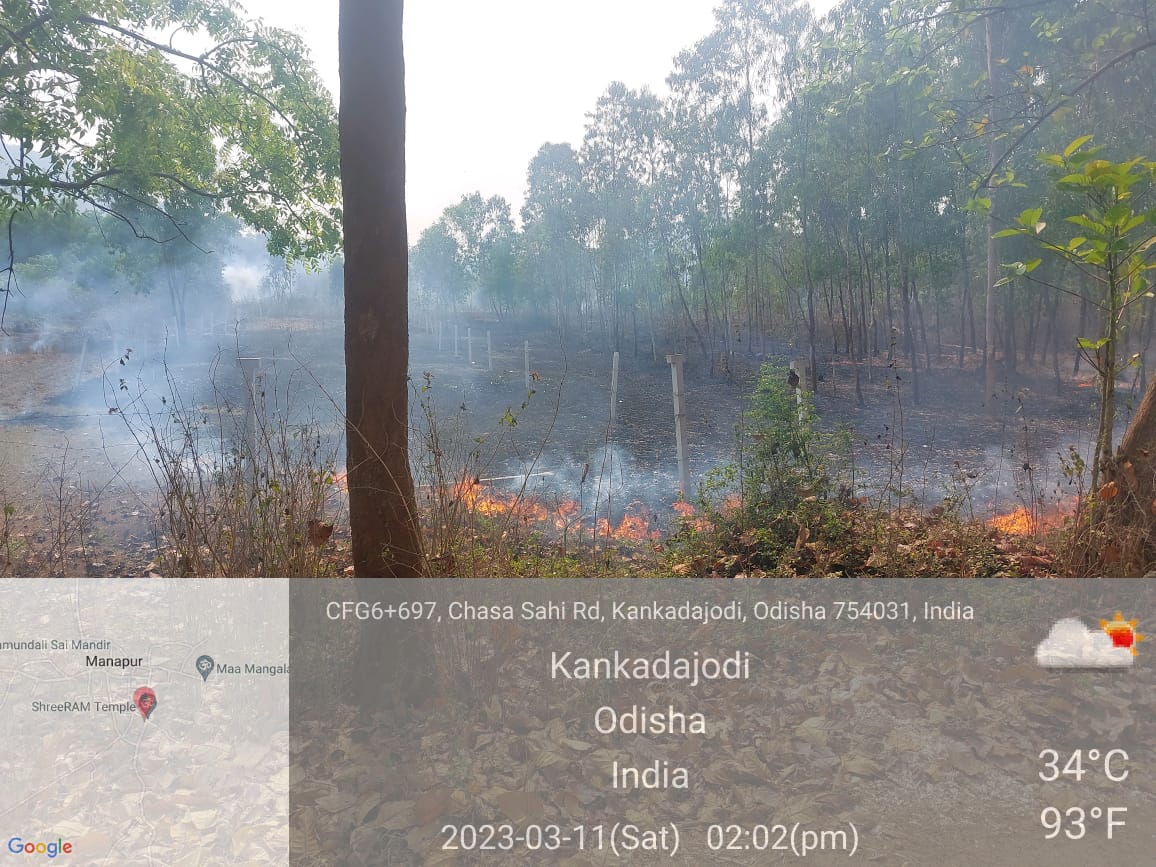 ashokksahoo's tweet photo. Dear sir @ForestDeptt @CuttackDM @PCCFWL_Odisha    ବଡମ୍ବା ଅନ୍ତର୍ଗତ କାଙ୍କଡ଼ାଯୋଡି ମାନପୂର୍ ଜଙ୍ଗଲରେ କେହି ଜଣେ ଦୂର୍ବୁତ ନିଆଁ ଲଗେଇଦେଇଚି ଦୟାକରି ପଦକ୍ଷେପ ନିଅନ୍ତୁ @ADGFS_HGs_CD @DGFS_HGs_CD  #badamba_tahasil #kankadajodi #manapur #ForestFireFact #saveforest #savelife https://t.co/pxJlXYmcjG