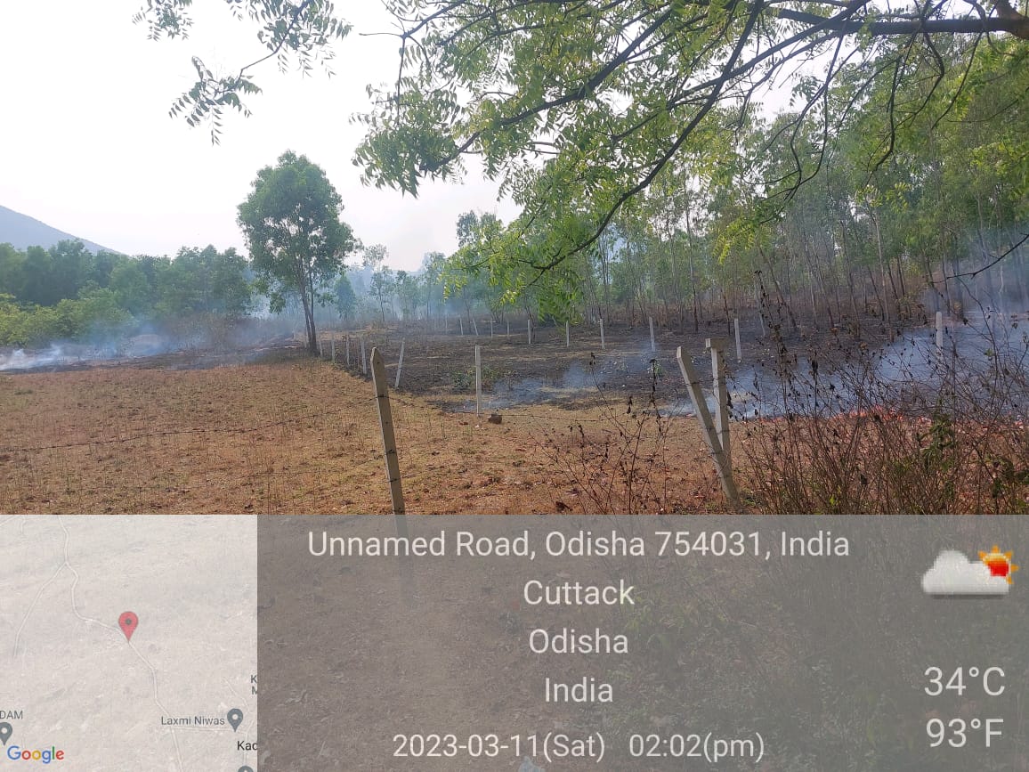 ashokksahoo's tweet photo. Dear sir @ForestDeptt @CuttackDM @PCCFWL_Odisha    ବଡମ୍ବା ଅନ୍ତର୍ଗତ କାଙ୍କଡ଼ାଯୋଡି ମାନପୂର୍ ଜଙ୍ଗଲରେ କେହି ଜଣେ ଦୂର୍ବୁତ ନିଆଁ ଲଗେଇଦେଇଚି ଦୟାକରି ପଦକ୍ଷେପ ନିଅନ୍ତୁ @ADGFS_HGs_CD @DGFS_HGs_CD  #badamba_tahasil #kankadajodi #manapur #ForestFireFact #saveforest #savelife https://t.co/pxJlXYmcjG